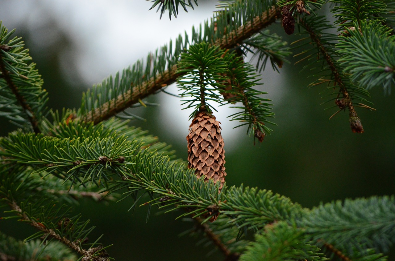 10 Unique Ideas for DIY Holiday Decor